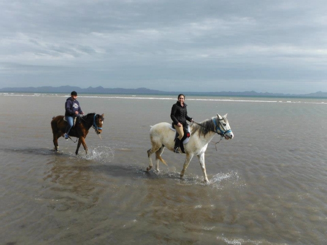  Passeggiate a cavallo in spiaggia 